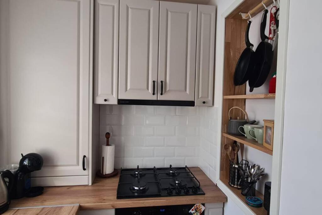 Warm And Cozy Studio Flat Near Straja Uricani (Hunedoara) Exterior foto