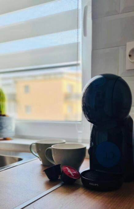 Warm And Cozy Studio Flat Near Straja Uricani (Hunedoara) Exterior foto