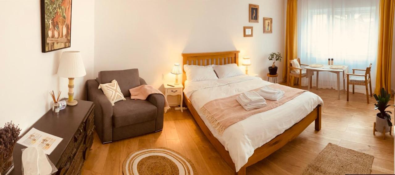 Warm And Cozy Studio Flat Near Straja Uricani (Hunedoara) Exterior foto
